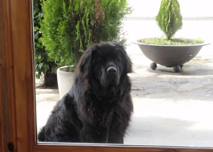 Turmo Лабуэрда